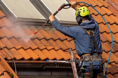 Démoussage et hydrofuge de toiture à Bloutière